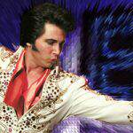 Danny Vernon Illusion Of Elvis