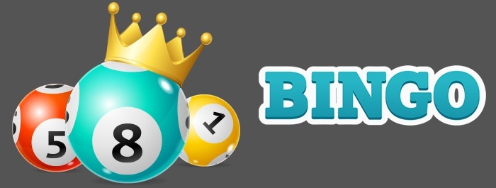 Bingo Resort Bingo Resort