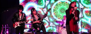 Gimme Shelter at Clearwater Casino Resort
