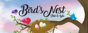 Bird's Nest - Pick & Win